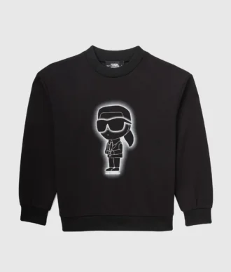 Ikon sweatshirt til drenge