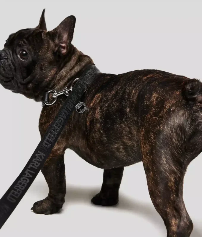 K/PET LEASH OG POUCH