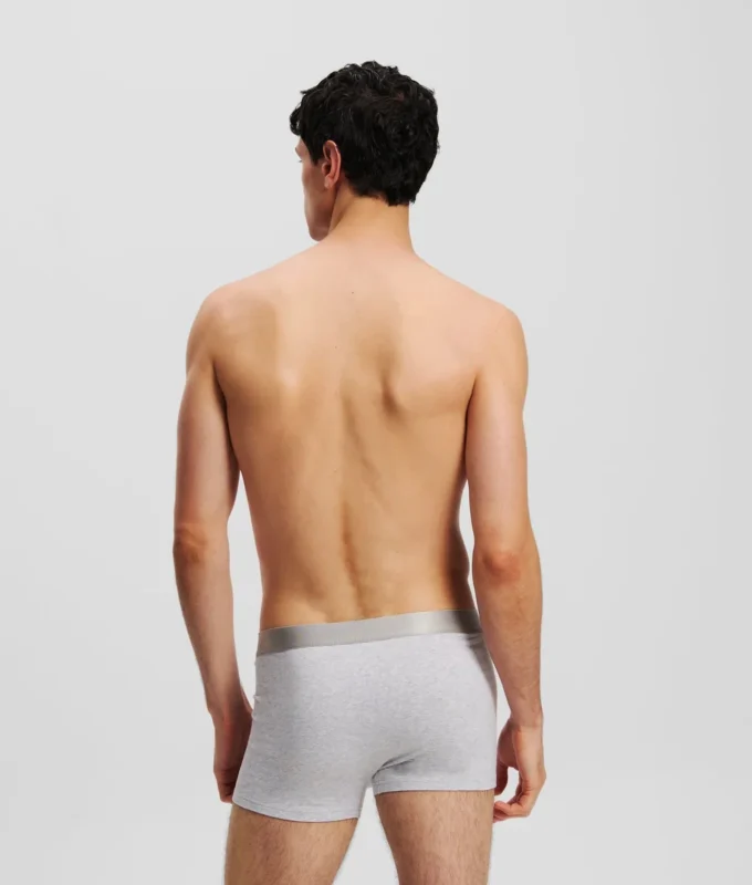 METALLIC LOGO TRUNKS – 3-PACK